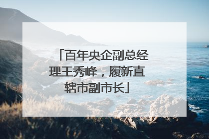 百年央企副总经理王秀峰，履新直辖市副市长