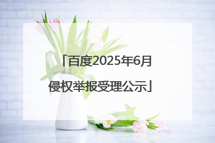 百度2025年6月侵权举报受理公示