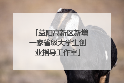 益阳高新区新增一家省级大学生创业指导工作室