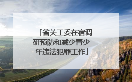 省关工委在宿调研预防和减少青少年违法犯罪工作