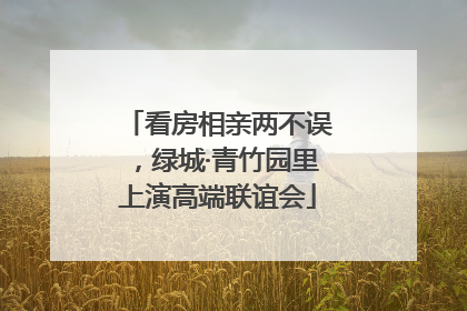 看房相亲两不误，绿城·青竹园里上演高端联谊会