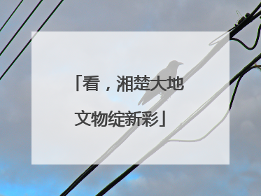 看，湘楚大地文物绽新彩