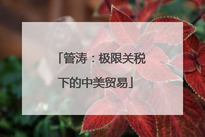 管涛：极限关税下的中美贸易