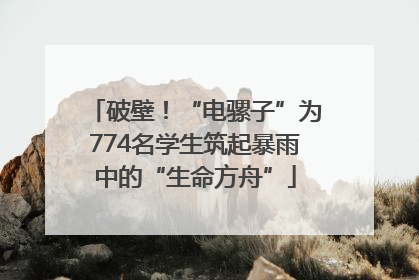 破壁！“电骡子”为774名学生筑起暴雨中的“生命方舟”