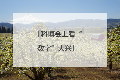科博会上看“数字”大兴