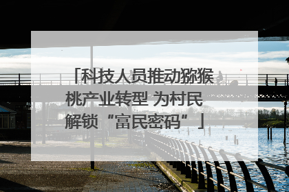 科技人员推动猕猴桃产业转型 为村民解锁“富民密码”