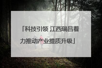 科技引领 江西瑞昌着力推动产业提质升级