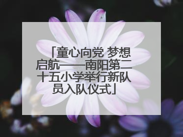 童心向党 梦想启航——南阳第二十五小学举行新队员入队仪式
