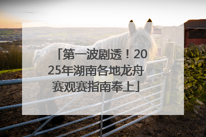 第一波剧透！2025年湖南各地龙舟赛观赛指南奉上