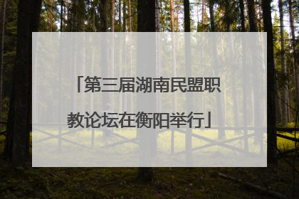 第三届湖南民盟职教论坛在衡阳举行