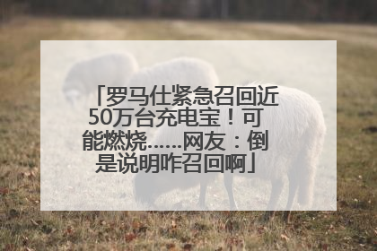 罗马仕紧急召回近50万台充电宝！可能燃烧……网友：倒是说明咋召回啊