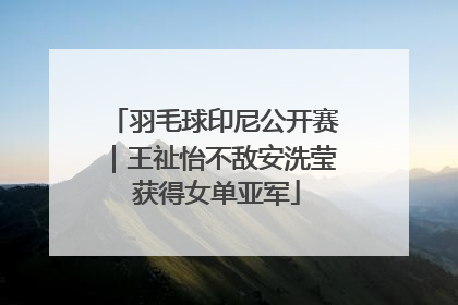 羽毛球印尼公开赛｜王祉怡不敌安洗莹 获得女单亚军