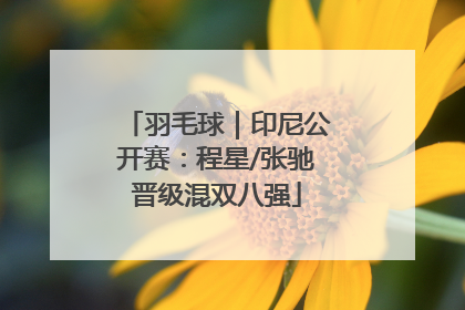 羽毛球｜印尼公开赛：程星/张驰晋级混双八强