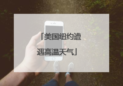 美国纽约遭遇高温天气