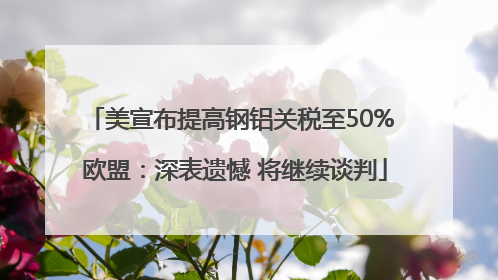 美宣布提高钢铝关税至50% 欧盟：深表遗憾 将继续谈判