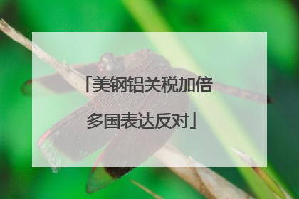美钢铝关税加倍 多国表达反对