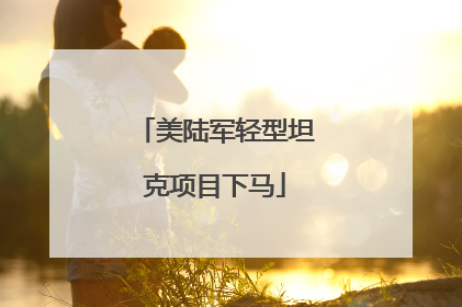 美陆军轻型坦克项目下马