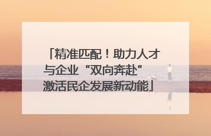 精准匹配！助力人才与企业“双向奔赴” 激活民企发展新动能