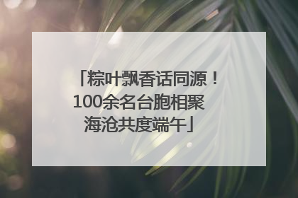 粽叶飘香话同源！100余名台胞相聚海沧共度端午