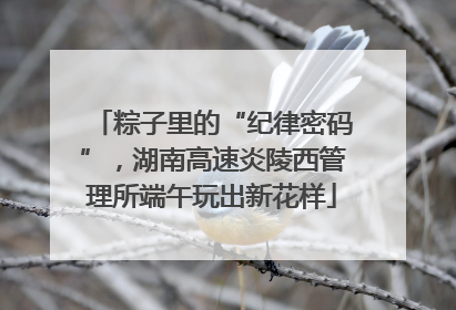 粽子里的“纪律密码”，湖南高速炎陵西管理所端午玩出新花样