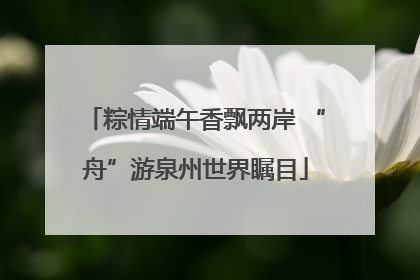 粽情端午香飘两岸 “舟”游泉州世界瞩目