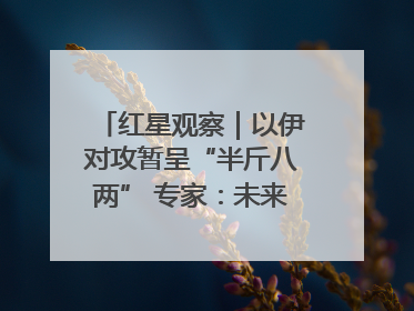 红星观察｜以伊对攻暂呈“半斤八两” 专家：未来真正变量，是美国是否进一步介入