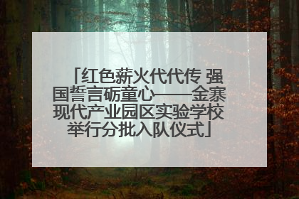 红色薪火代代传 强国誓言砺童心——金寨现代产业园区实验学校举行分批入队仪式