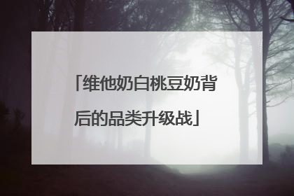 维他奶白桃豆奶背后的品类升级战