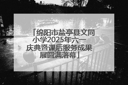 绵阳市盐亭县文同小学2025年六一庆典暨课后服务成果展圆满落幕