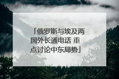 俄罗斯与埃及两国外长通电话 重点讨论中东局势