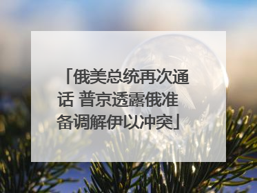 俄美总统再次通话 普京透露俄准备调解伊以冲突
