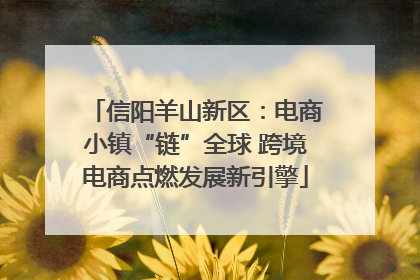 信阳羊山新区：电商小镇“链”全球 跨境电商点燃发展新引擎