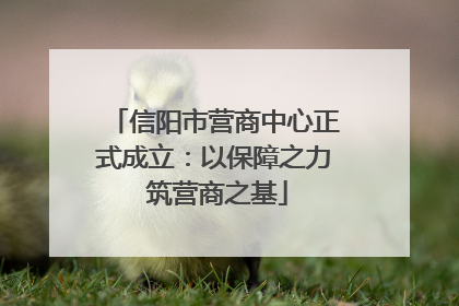 信阳市营商中心正式成立：以保障之力 筑营商之基