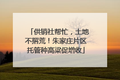 供销社帮忙，土地不撂荒！朱家庄片区托管种高粱促增收