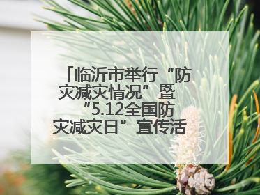 临沂市举行“防灾减灾情况”暨 “5.12全国防灾减灾日”宣传活动新闻发布会