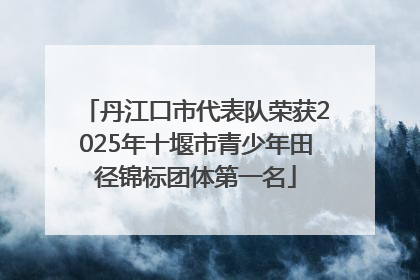 丹江口市代表队荣获2025年十堰市青少年田径锦标团体第一名