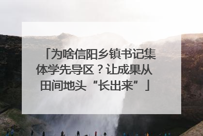 为啥信阳乡镇书记集体学先导区？让成果从田间地头“长出来”