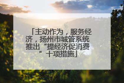 主动作为，服务经济，扬州市城管系统推出“提经济促消费”十项措施