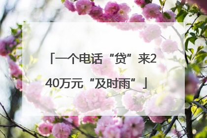 一个电话“贷”来240万元“及时雨”