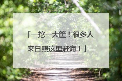 一挖一大筐！很多人来日照这里赶海！