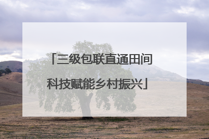 三级包联直通田间 科技赋能乡村振兴