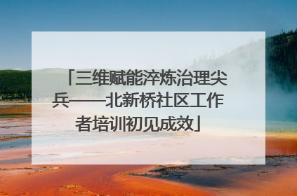 三维赋能淬炼治理尖兵——北新桥社区工作者培训初见成效