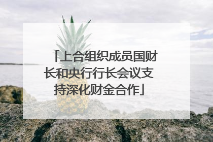 上合组织成员国财长和央行行长会议支持深化财金合作