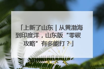 上新了山东｜从黄渤海到印度洋，山东版“零碳攻略”有多能打？