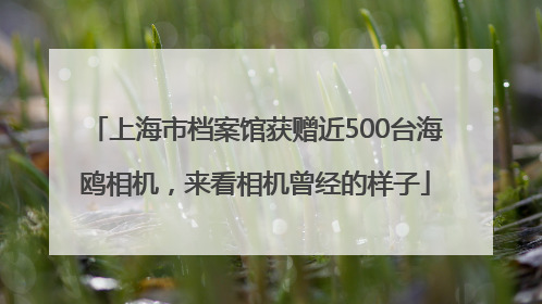 上海市档案馆获赠近500台海鸥相机，来看相机曾经的样子
