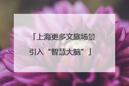 上海更多文旅场景引入“智慧大脑”