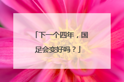 下一个四年，国足会变好吗？