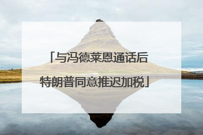 与冯德莱恩通话后 特朗普同意推迟加税