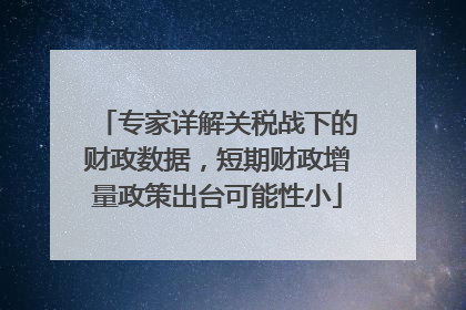 专家详解关税战下的财政数据，短期财政增量政策出台可能性小