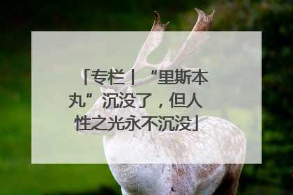 专栏丨“里斯本丸”沉没了，但人性之光永不沉没